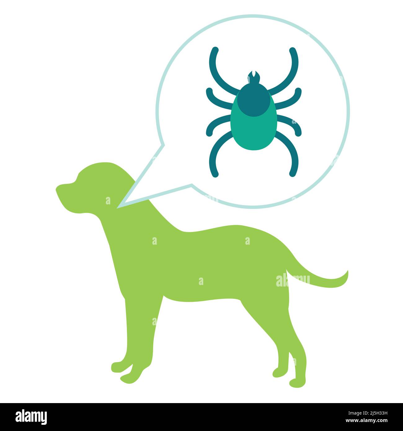 Babésiose ou piroplasma. Parasite de chien. Tick ou ricin en grain Illustration de Vecteur