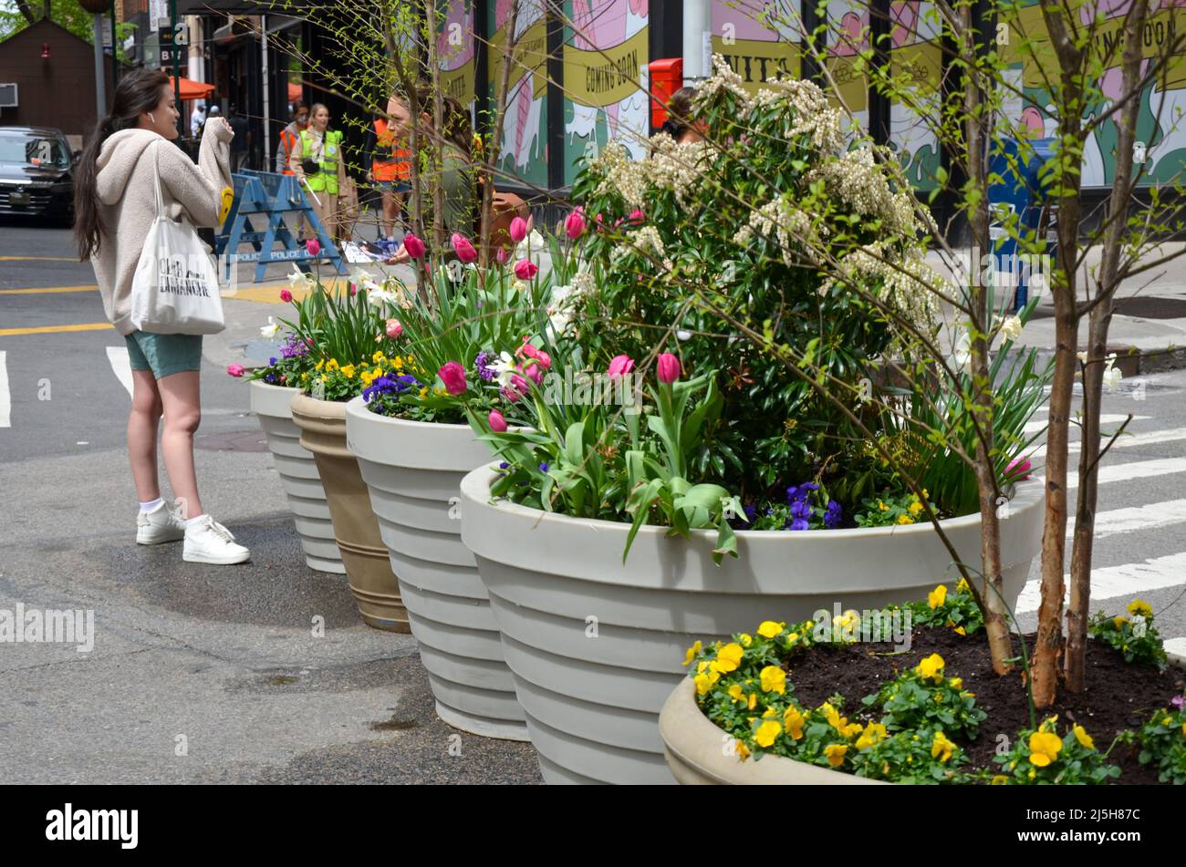 Des fleurs apparaissent sur Park Avenue à New York le 23 avril 2022. Banque D'Images