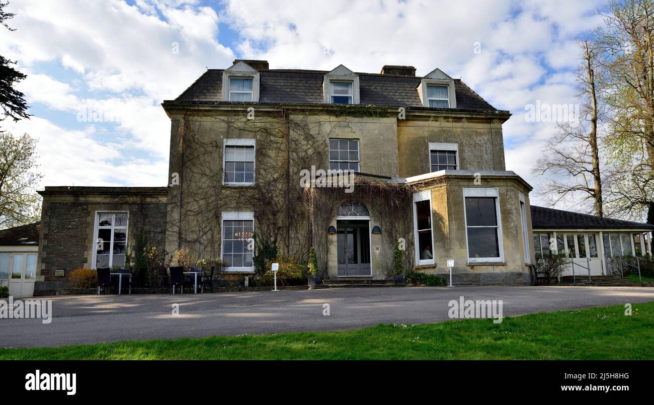 Ivy face couverte de Grange Hotel, Old Gloucester Rd, Frampton Cotterell, Bristol, Royaume-Uni. Dates de 1851 Banque D'Images
