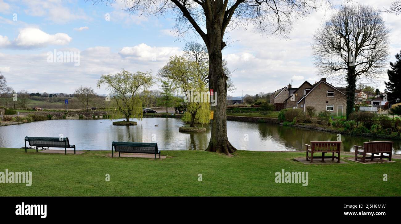 Place assise sur le green surplombant le village de Winterbourne Duck Pond, Bristol, Royaume-Uni Banque D'Images