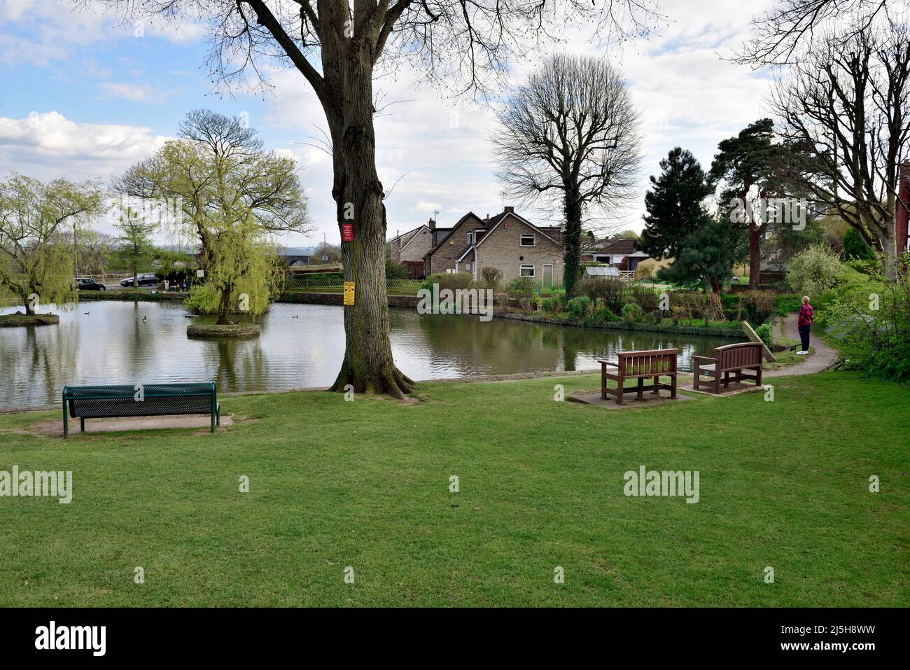 Place assise sur le green surplombant le village de Winterbourne Duck Pond, Bristol, Royaume-Uni Banque D'Images