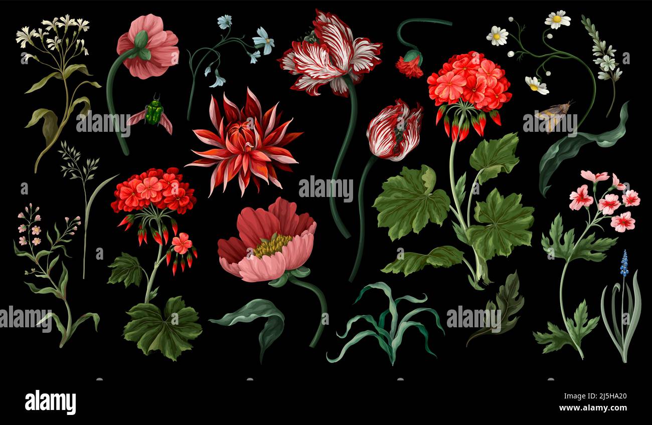 Fleurs botaniques victoriennes et insectes isolés. Tulipe, pivoine et autre. Illustration de Vecteur