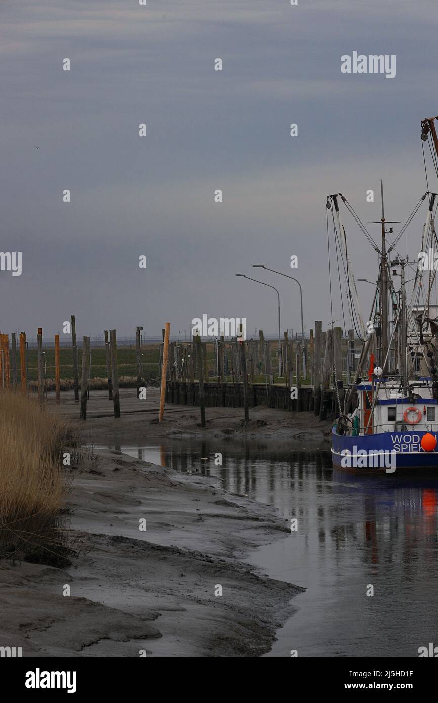 voie d'eau d'un petit port à marée basse Banque D'Images