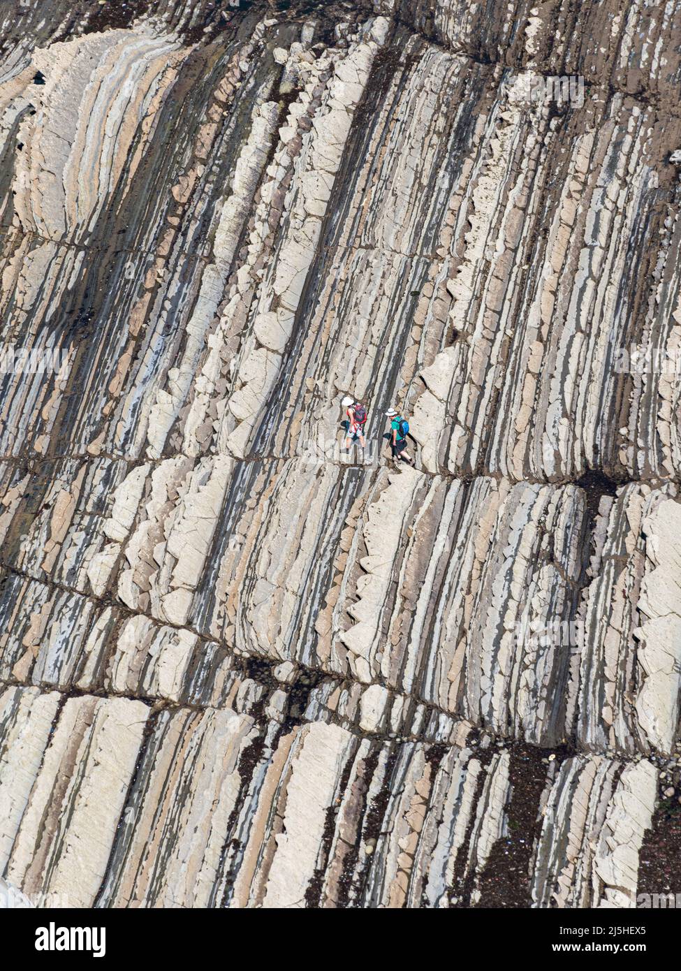 Personnes marchant sur des rochers de la mer de Sakoneta, près de Zumaia. Pays basque, Espagne Banque D'Images