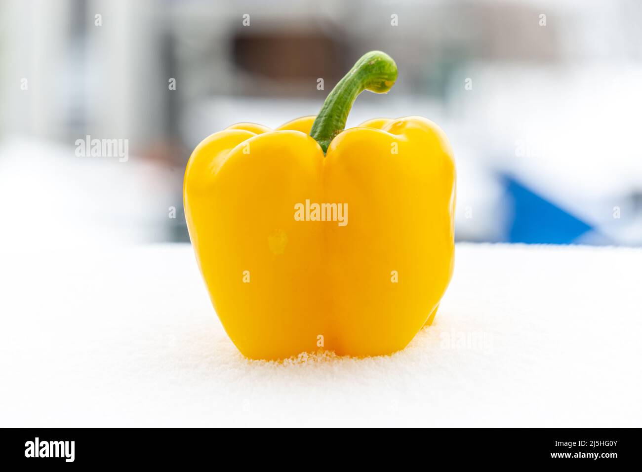 gros plan d'un poivron tombé dans la neige froide Banque D'Images