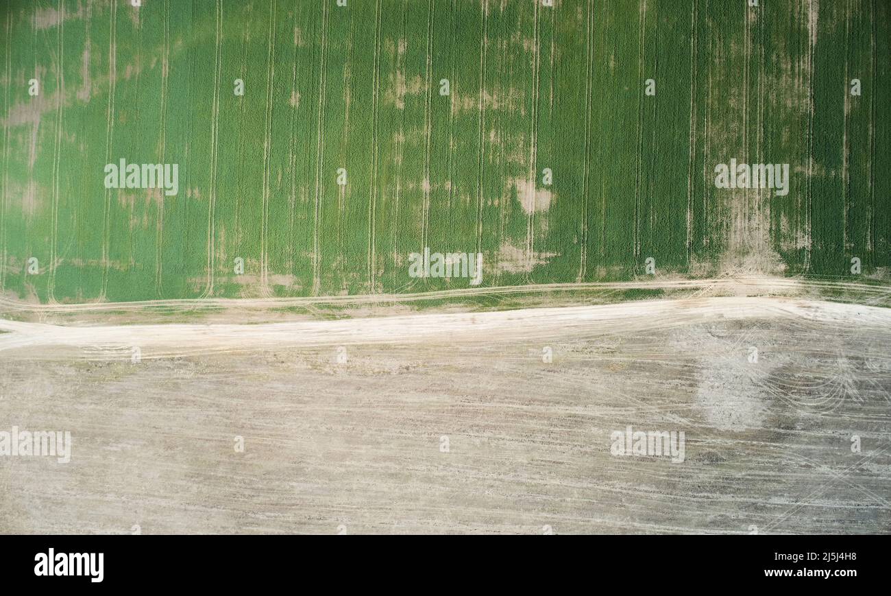 Champ agricole brun et vert au-dessus du drone vue de dessus Banque D'Images Champ agricole brun et vert au-dessus du drone vue de dessus Banque D'Images