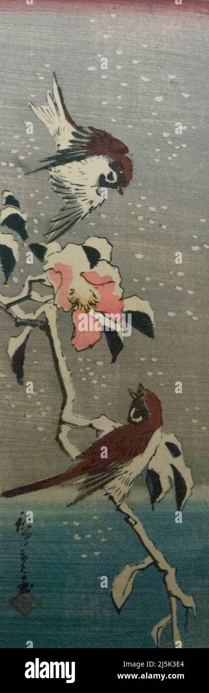 Utagawa Hiroshige - « les paraws et un camélia dans la neige ». 1797-1858 période Edo, 19yh siècle.. Musée national de Tokyo. Banque D'Images