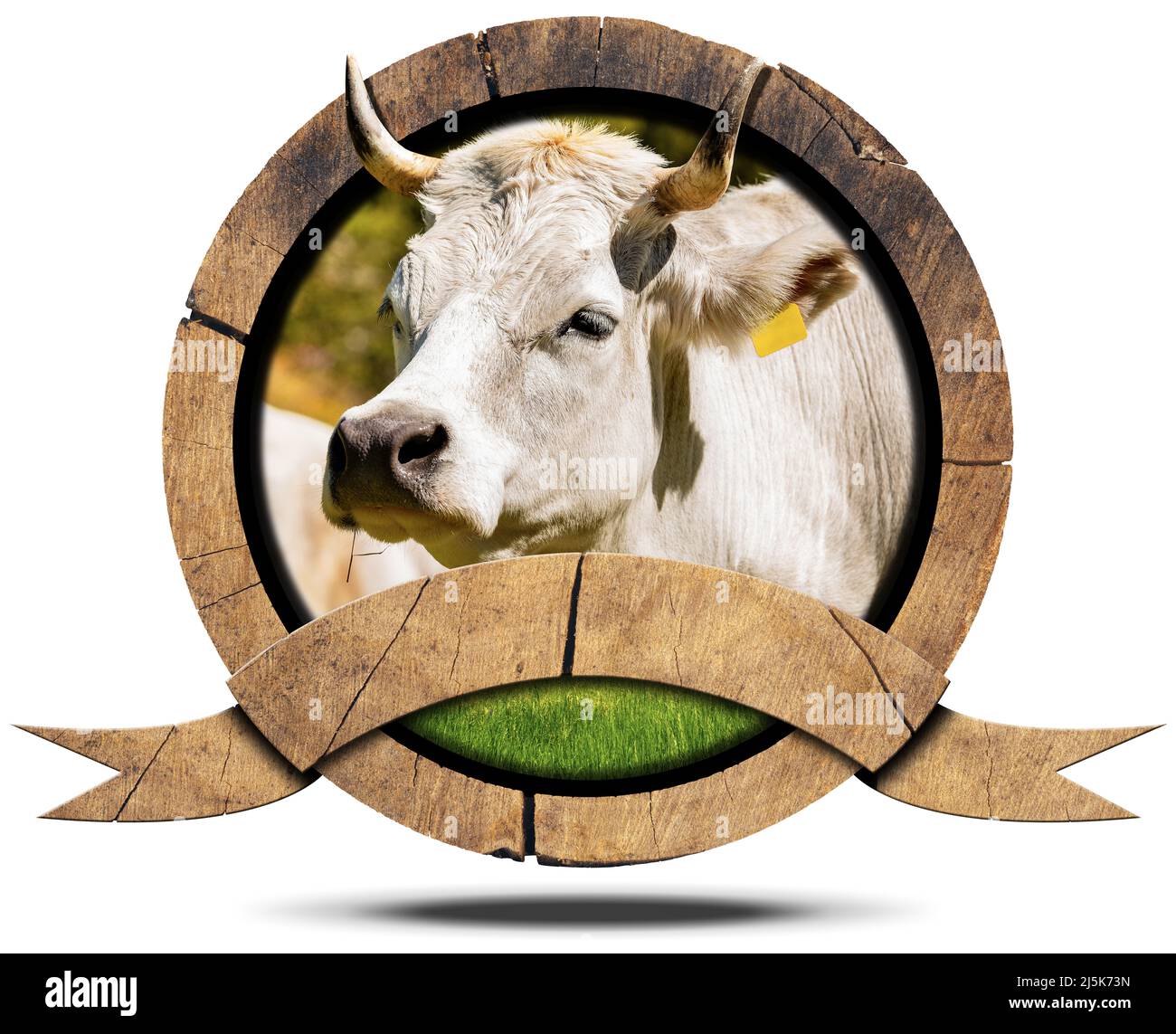 Panneau rond en bois ou icône avec une tête de vache blanche (génisse) avec cornes et espace de copie. Isolé sur fond blanc avec ombre. Banque D'Images