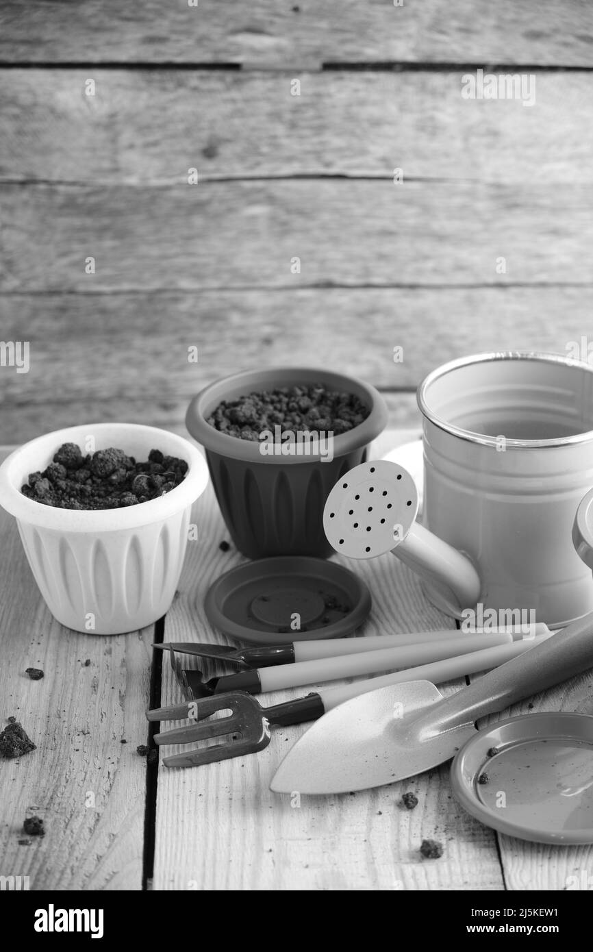 Pots de fleurs, outils de jardin et arrosoir, plantation de fleurs et préparation pour la saison estivale Banque D'Images