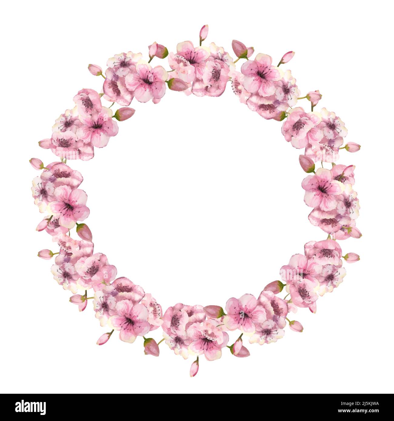 Une couronne de sakura rose printemps s'épanouit sur un fond blanc isolé. Illustration aquarelle. Vecteur Illustration de Vecteur