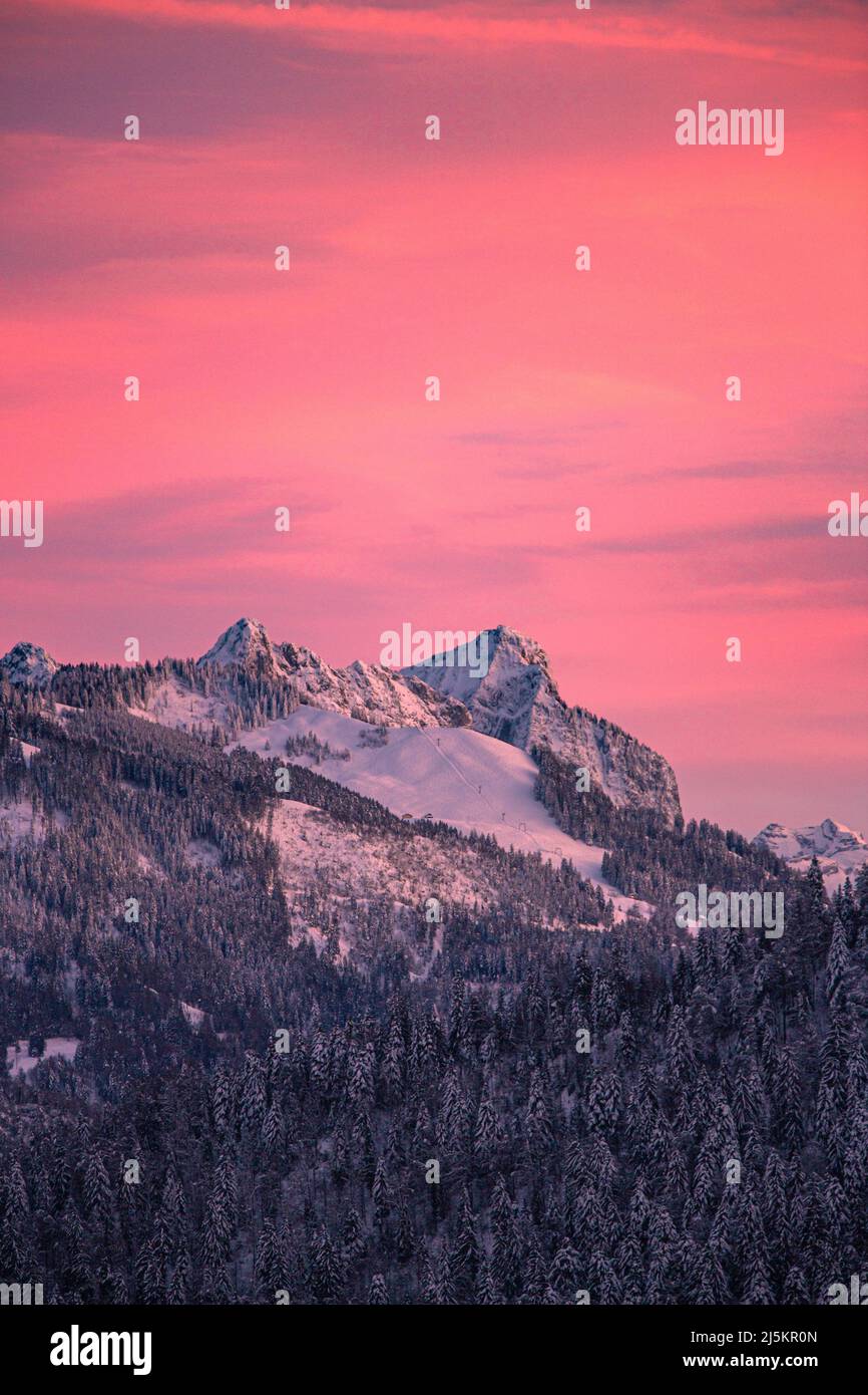 La lumière chaude du soleil couchant atterrit sur Mythen tandis que la neige reste dans les branches des arbres dans les ombres froides ci-dessous Banque D'Images