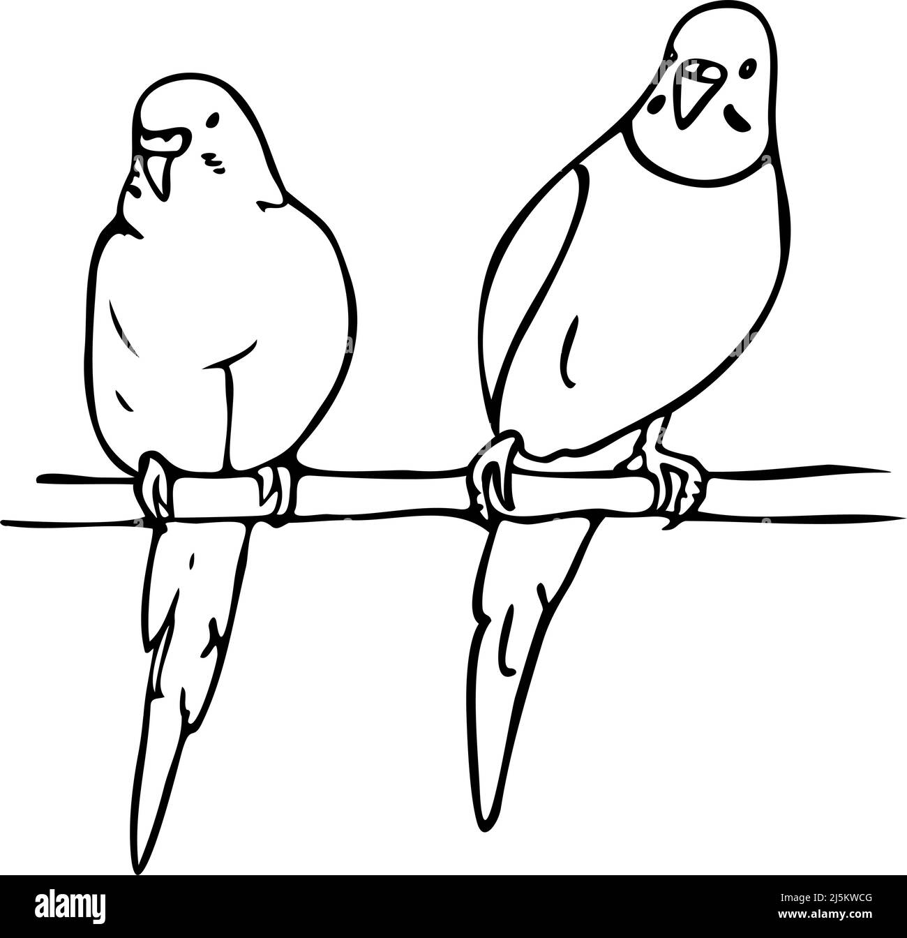 Illustration vectorielle de deux médiateurs. Perroquets noirs et blancs. Illustration de Vecteur