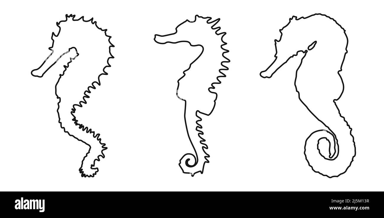 Définir le contour noir du symbole de cheval de mer sur fond blanc. Illustration clipart vectorielle. Illustration de Vecteur