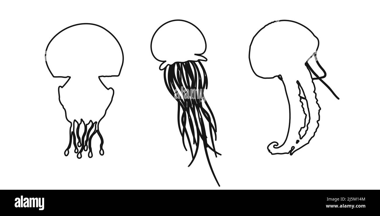 Définir le contour noir de méduse, de méduse, de gelée de mer ou d'ortie-poisson icône sur fond blanc. Illustration clipart vectorielle. Illustration de Vecteur
