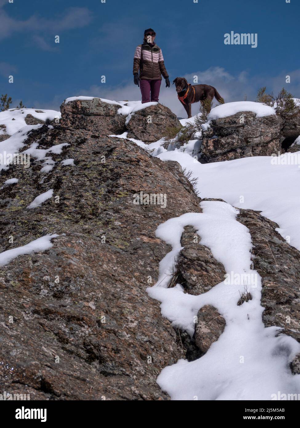 Femelle avec chapeau de beisball bleu sur la marche de son Labrador chocolat retriever dans les montagnes pleines de neige. Les deux regardant l'horizon. Banque D'Images