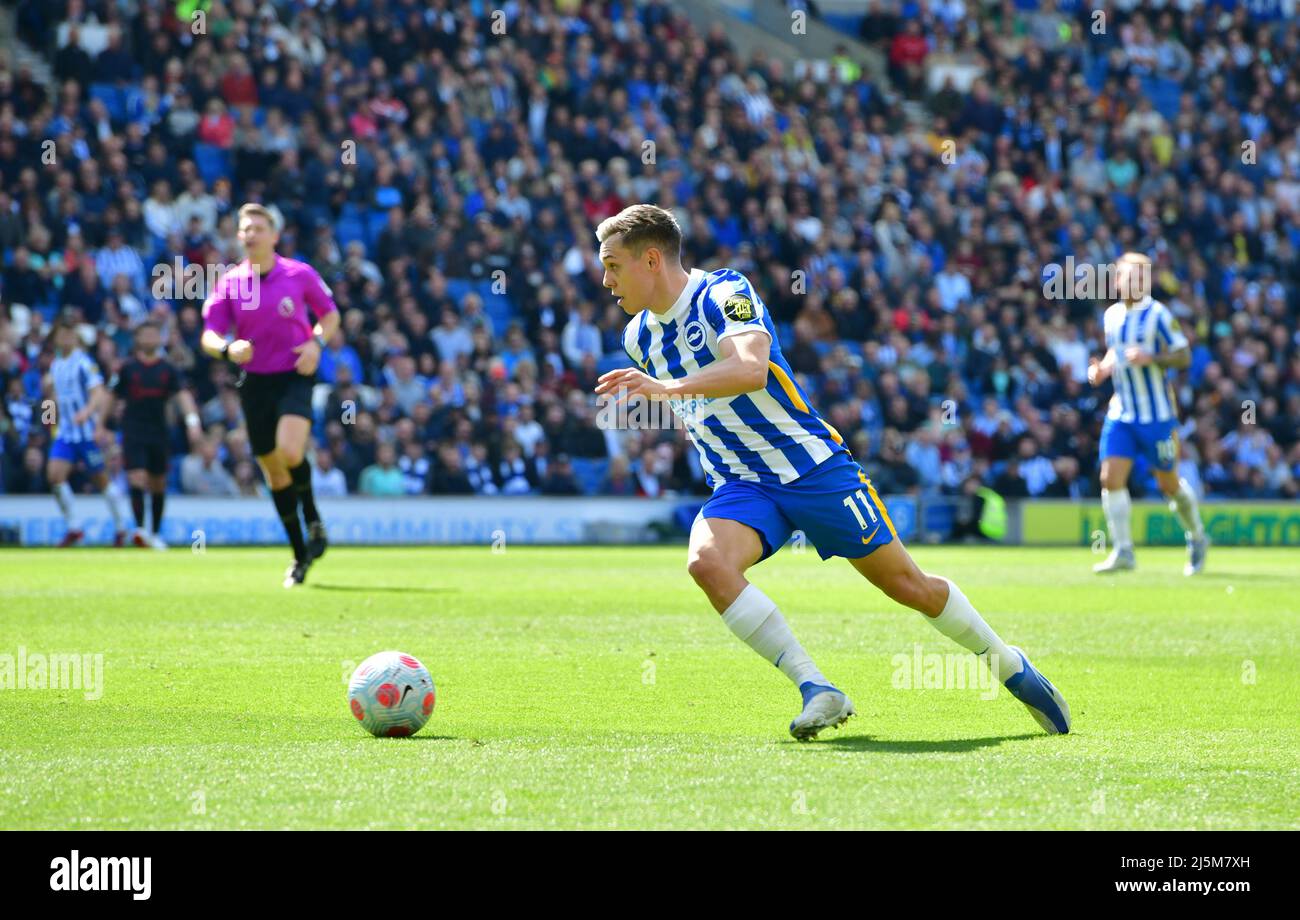 Brighton, Royaume-Uni. 24th avril 2022. Leandro Trossard de Brighton et Hove Albion court avec le ballon lors du match de la Premier League entre Brighton et Hove Albion et Southampton à l'Amex le 24th 2022 avril à Brighton, en Angleterre. (Photo de Jeff Mood/phcimages.com) Credit: PHC Images/Alamy Live News Banque D'Images