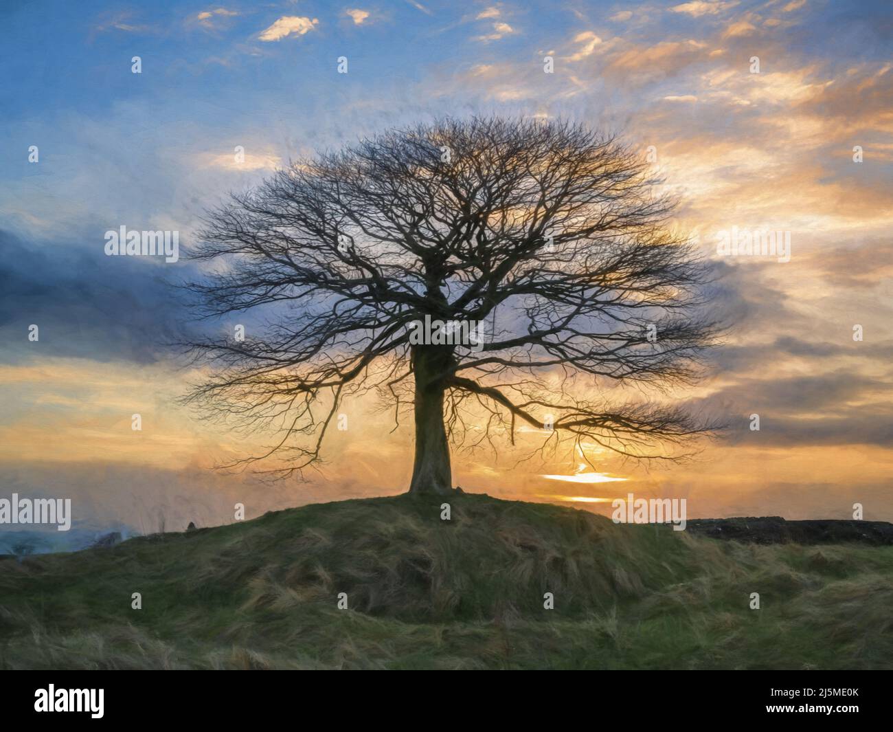 Peinture numérique abstraite à l'huile d'un arbre isolé au lever du soleil sur Grindon Moor, Staffordshire, White Peak, parc national Peak District, Royaume-Uni. Beaux-arts, œuvres d'art Banque D'Images