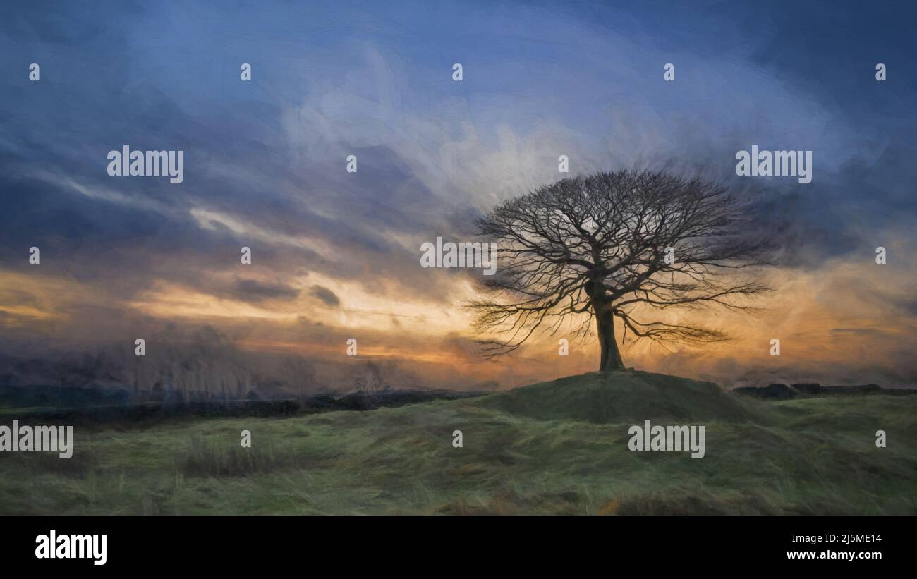 Peinture numérique abstraite à l'huile d'un arbre isolé au lever du soleil sur Grindon Moor, Staffordshire, White Peak, parc national Peak District, Royaume-Uni. Beaux-arts, œuvres d'art Banque D'Images