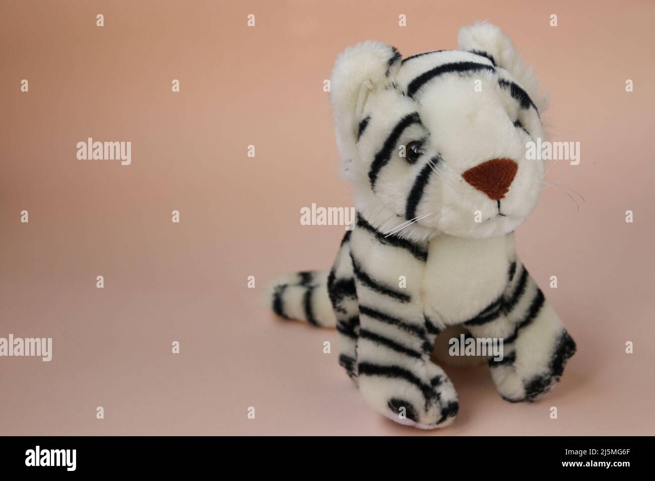 Jouet doux blanc tigre cub sur fond pêche avec reflet de l'ombre Banque D'Images
