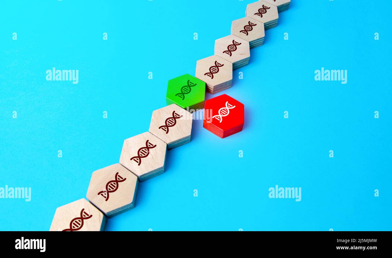 Remplacement des sections défectueuses de l'ADN. Guérir les mutations et les maladies génétiques. Modification de la thérapie génique des cellules pour produire un effet thérapeutique. BRE Banque D'Images