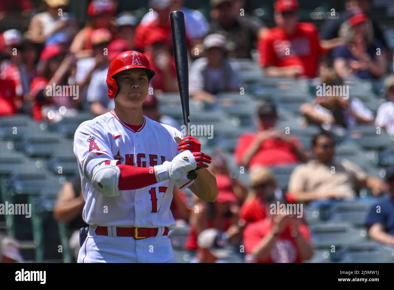 Anaheim, Californie, États-Unis. 24th avril 2022. Les Anges de Los Angeles ont désigné le hitter Shohei Ohtani (17) lors d'un match de baseball MLB entre les Orioles de Baltimore et les Anges de Los Angeles au stade Angel d'Anaheim, en Californie. Justin Fine/CSM/Alamy Live News Banque D'Images