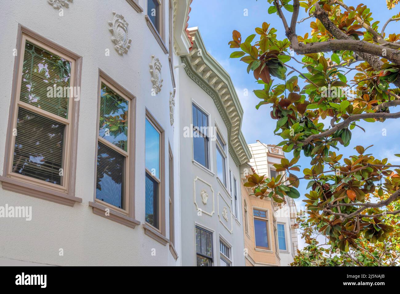 Bâtiments résidentiels complexes aux finitions richement ornées avec vue en angle bas à San Francisco, Californie. Il y a un arbre sur la droite à l'avant du bui Banque D'Images