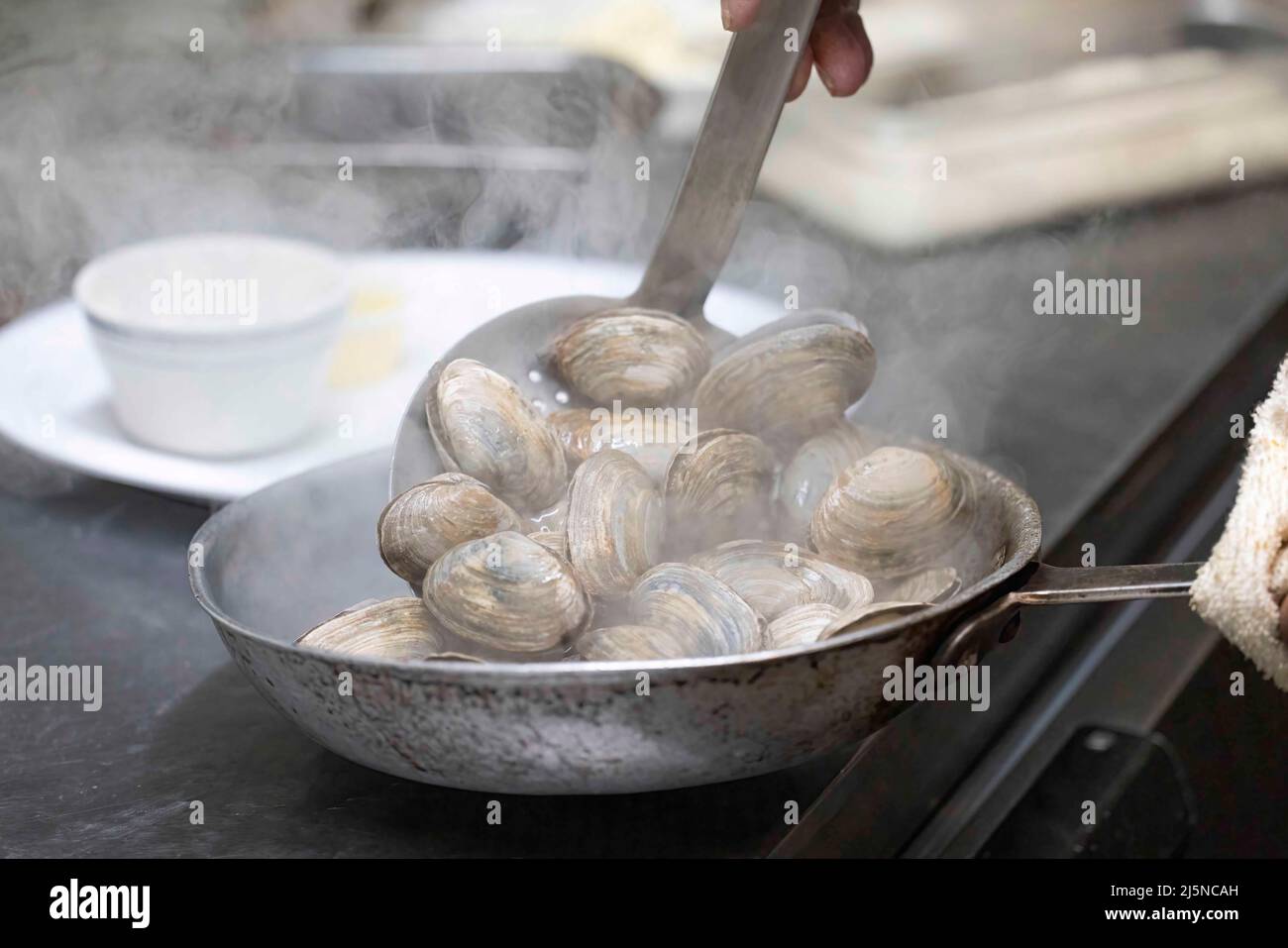 Cuisiner des palourdes dans la cuisine Banque D'Images