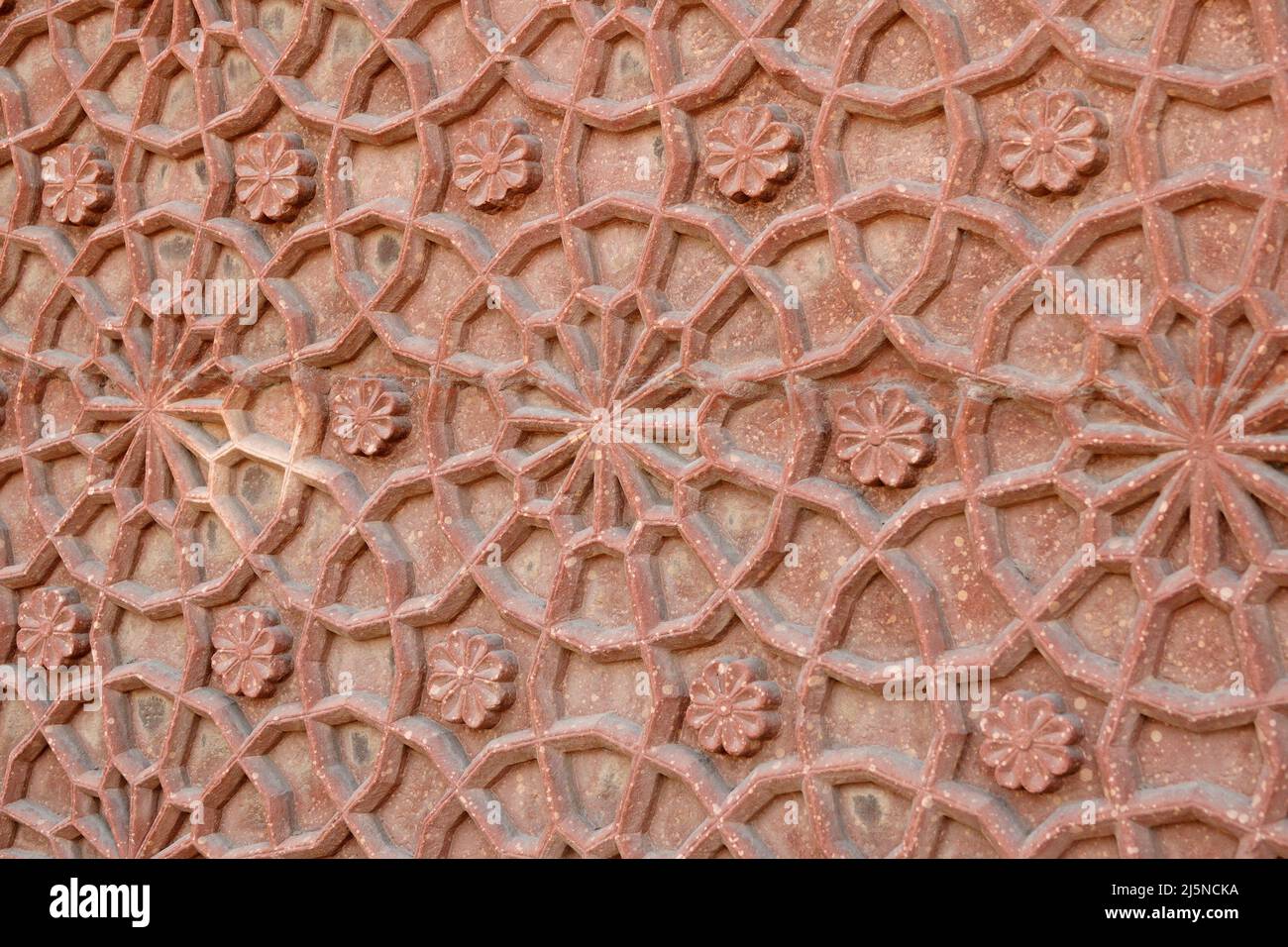 Détail décoratif mur de fort d'Agra, Banque D'Images