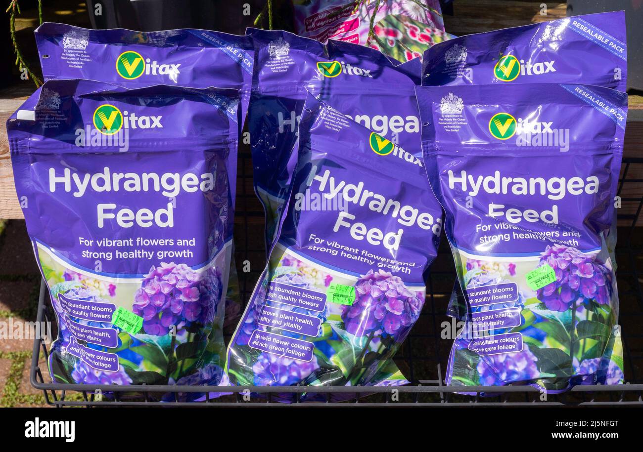 Une exposition de nourriture Vitax Hydrangea favorisant des fleurs vibrantes et une forte croissance saine à vendre dans un centre de jardin dans un centre de jardin Banque D'Images