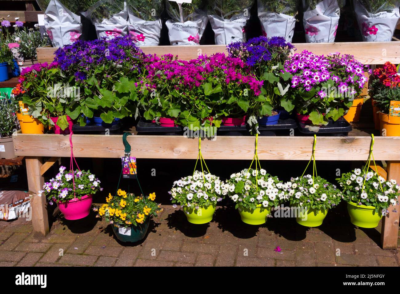 Une exposition attrayante de plantes en pot assorties et paniers suspendus à l'entrée d'un centre de jardin lors d'une journée de printemps ensoleillée Banque D'Images