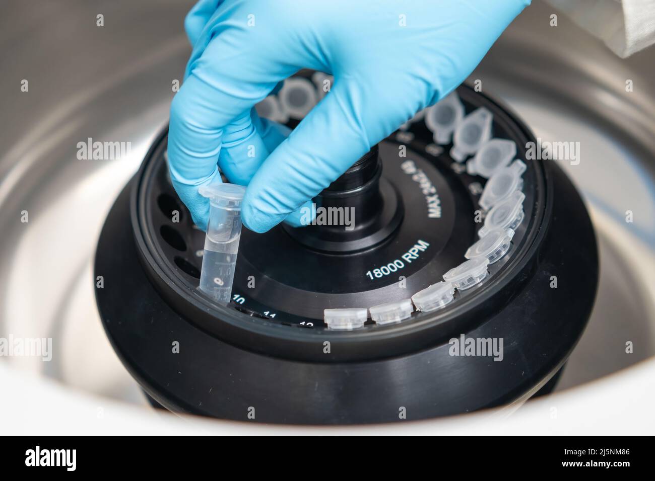 Le scientifique place les microtubes à centrifuger dans la centrifugeuse pour la séparation de phase. Analyse métabolomique et lipidomique dans le laboratoire de chimie analytique. Banque D'Images