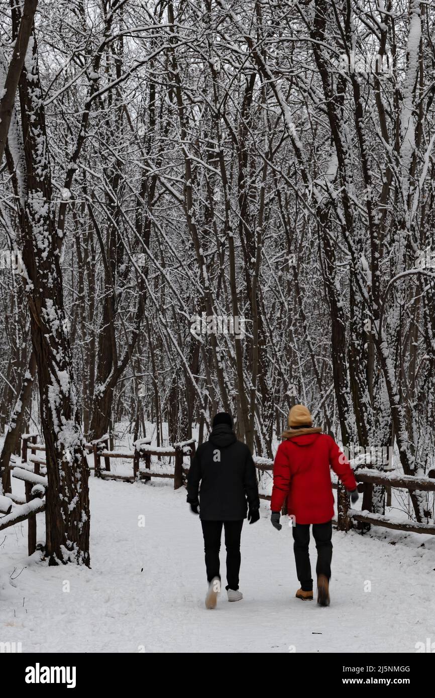Deux hommes en noir et rouge marchant dans la forêt en hiver. Banque D'Images