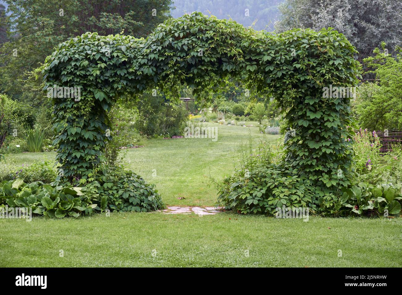 Arche couverte de lierre dans le jardin botanique Banque D'Images