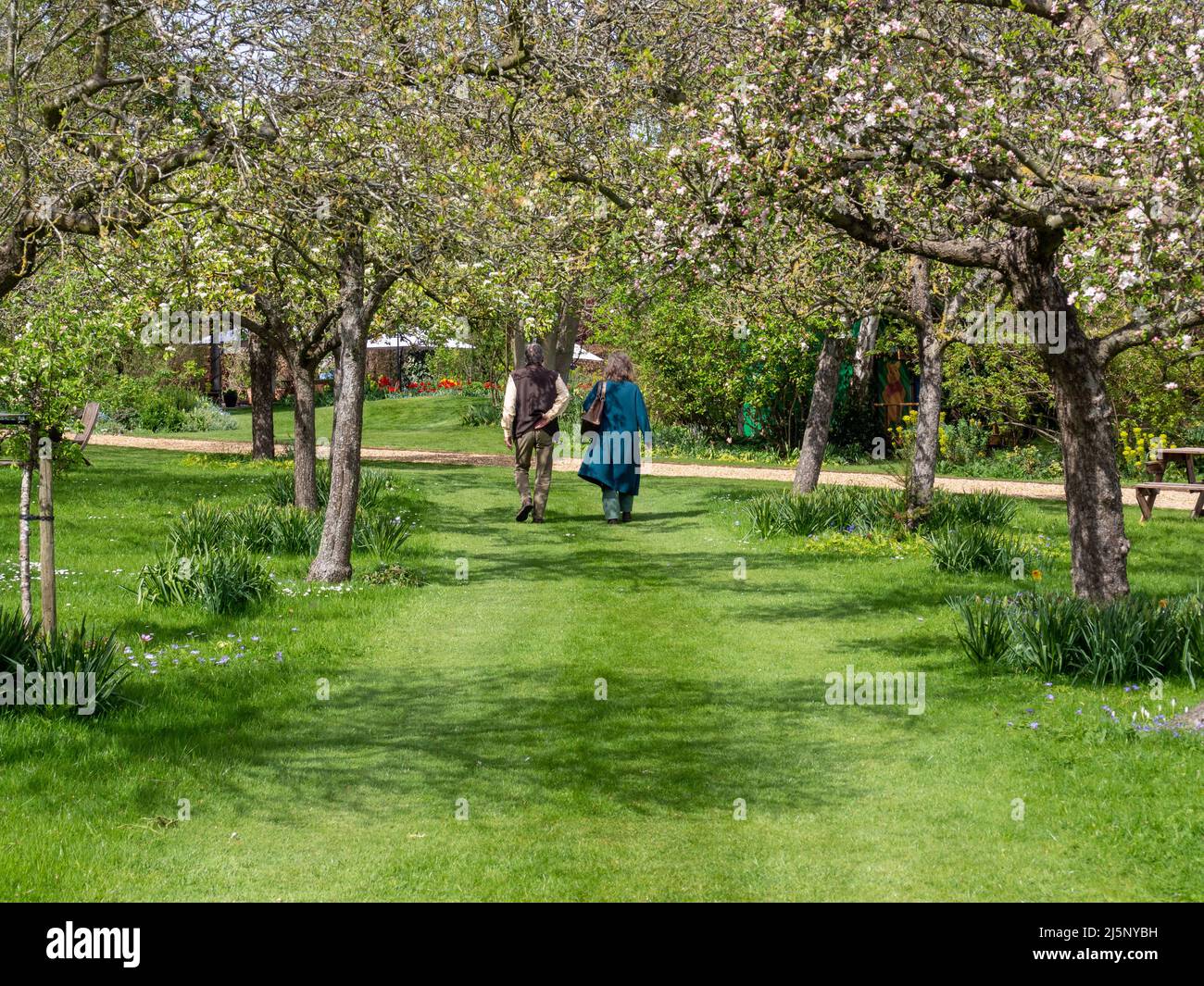 Kathy Brown's Garden, un jour de printemps ensoleillé, Manor House, Stevington, Bedfordshire, Royaume-Uni Banque D'Images