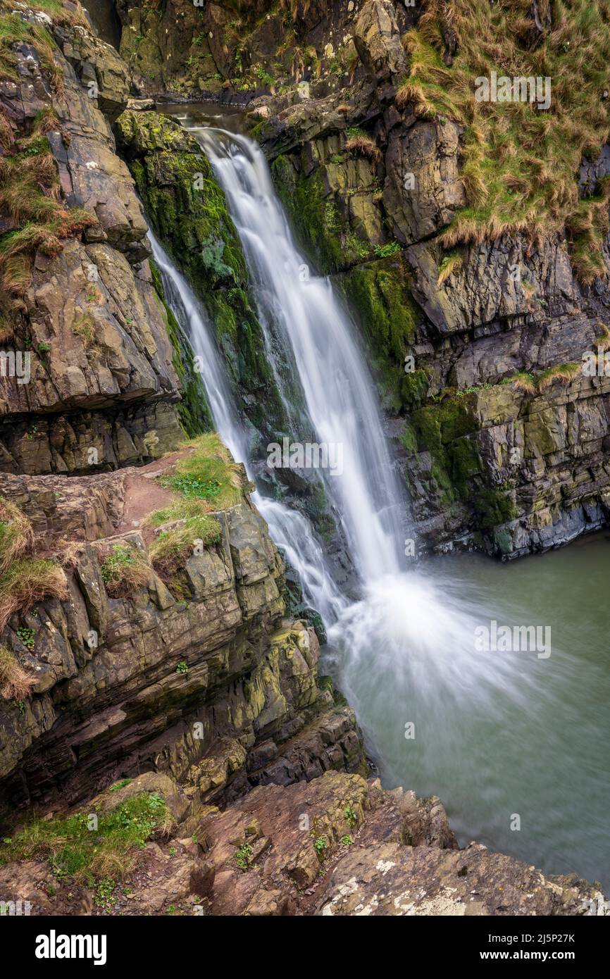 La cascade de Speke's Mill Mouth Waterfall se trouve à quelques minutes à pied des sommets de la falaise de Hartland Quay. Les chutes plongent à 48 mètres du sommet à la plage en dessous à t Banque D'Images