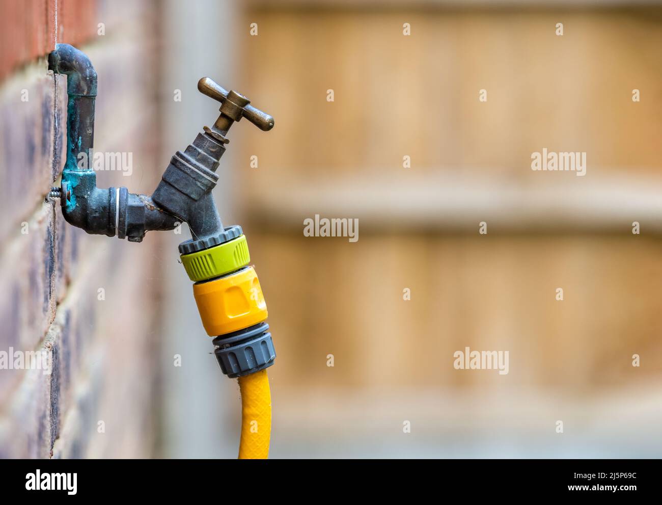 Robinet extérieur en laiton monté sur un mur externe relié à un tuyau d'eau de jardin jaune renforcé Banque D'Images