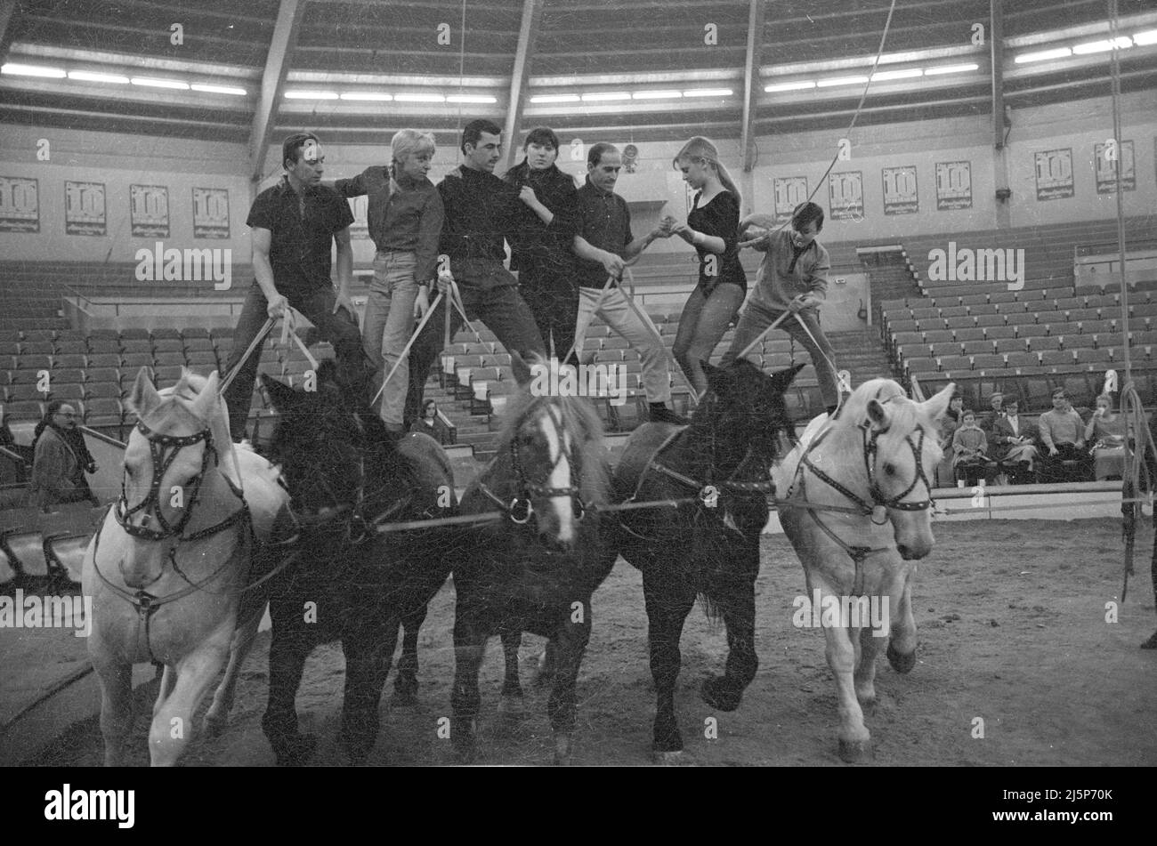 Répétition pour les dix étoiles d'or dans le Ring dans le Circus Crown Building à Munich. Artistes dans le cirque - r. Gitte pendant la course à cheval. [traduction automatique] Banque D'Images