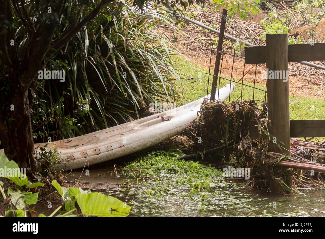 Bombada stand-up Paddle-board lavé dans le jardin rural par l'eau d'inondation australienne. Emplacement en haut de la colline à des kilomètres de la mer, propriétaire inconnu. Banque D'Images