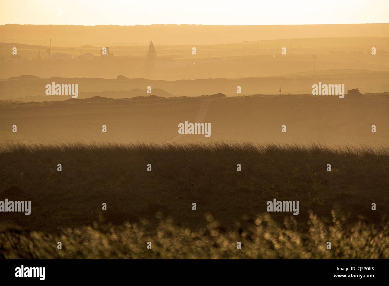 Champs herbeux et collines ondoyantes au coucher du soleil, près de Sagres, Portugal Banque D'Images