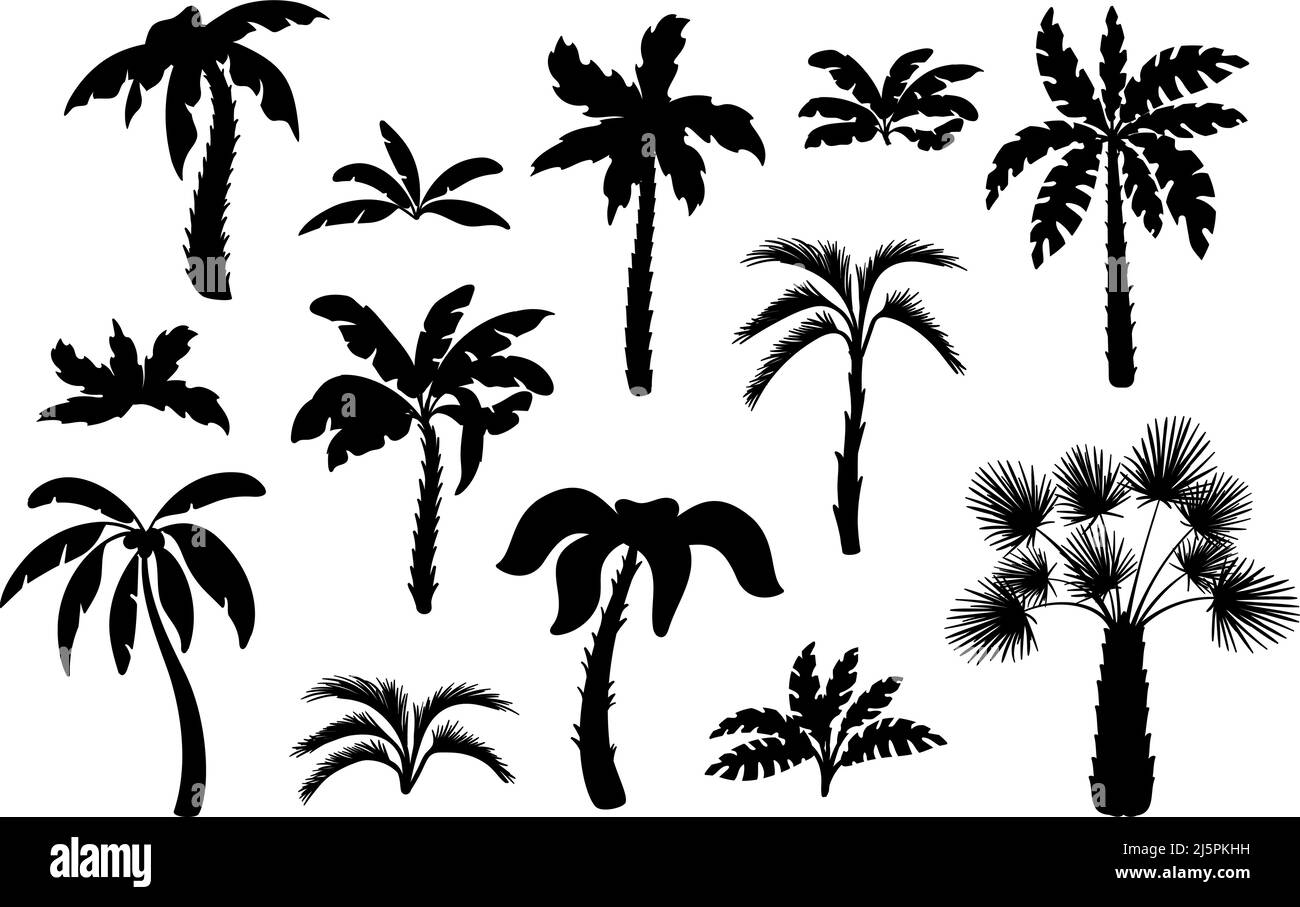 Silhouettes de palmier noir. Palmiers tropicaux de miami hawaii, icônes de forêt exotique isolée. Feuilles et feuillage, plage d'été, plantes propres ensemble vectoriel Illustration de Vecteur