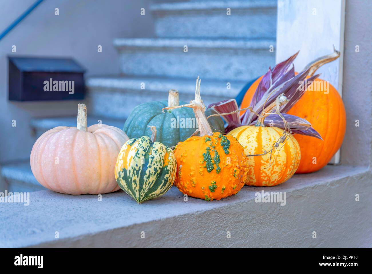 Variété de citrouilles à l'extérieur de la maison à San Francisco, Californie Banque D'Images
