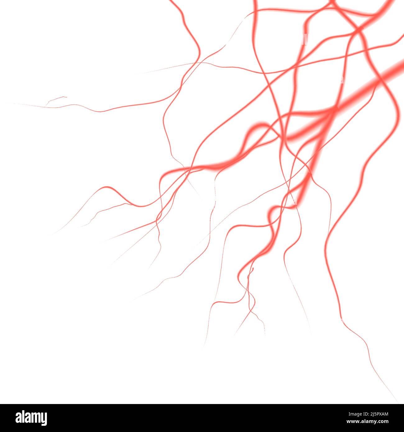 icône réaliste. Vaisseaux rouges humains, système sanguin. Veine, vaisseaux et capillaires. Illustration de Vecteur