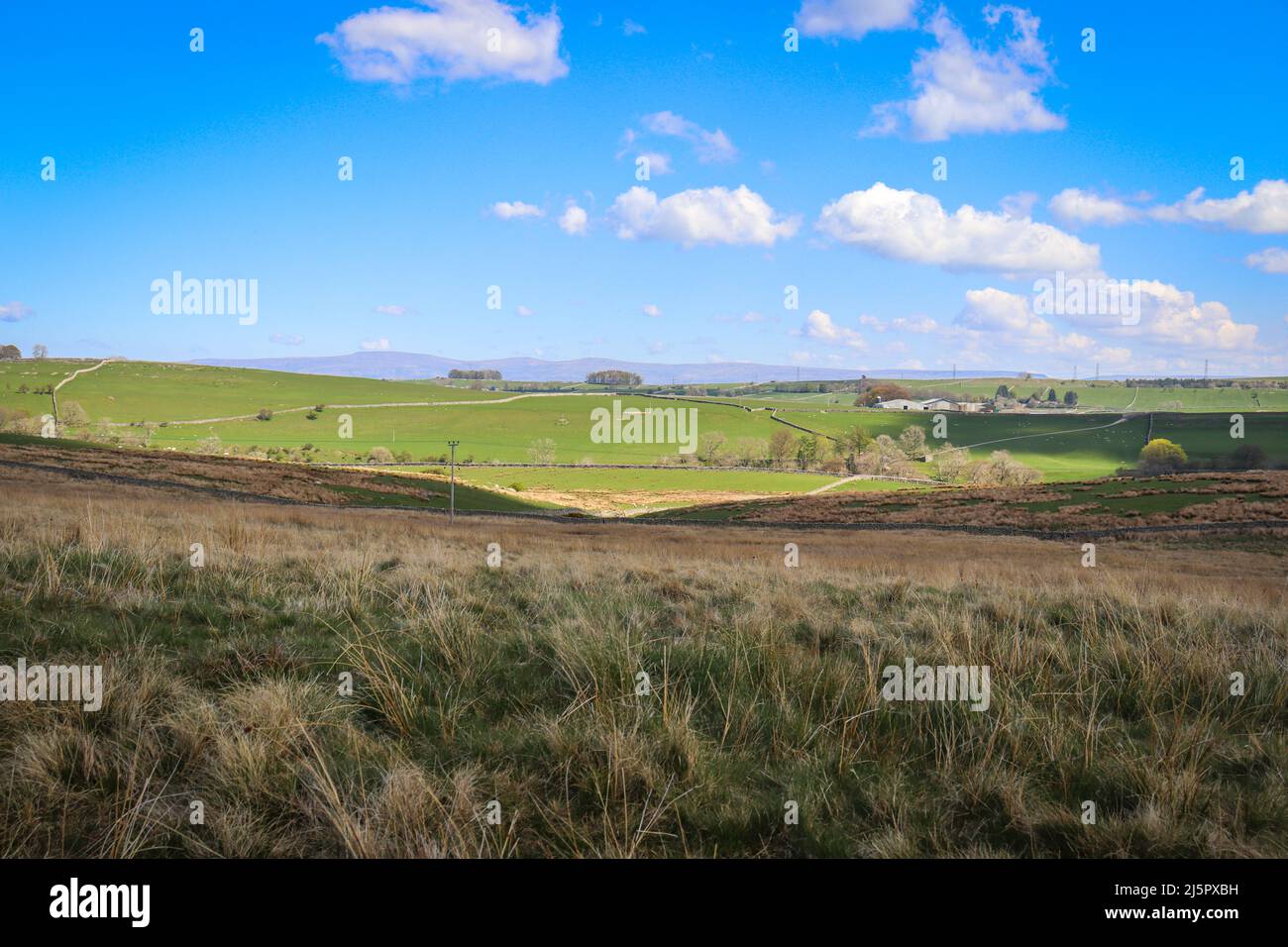 Vue sur le Lake District Fell / campagne sauvage ouverte / campagne piétonne / randonnée Banque D'Images