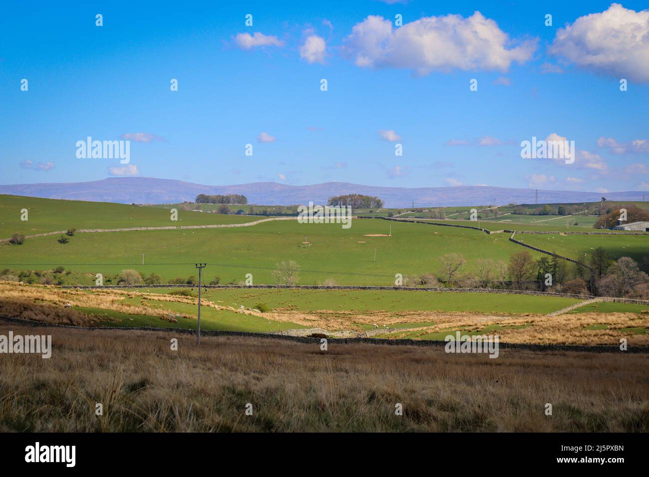 Vue sur le Lake District Fell / campagne sauvage ouverte / campagne piétonne / randonnée Banque D'Images