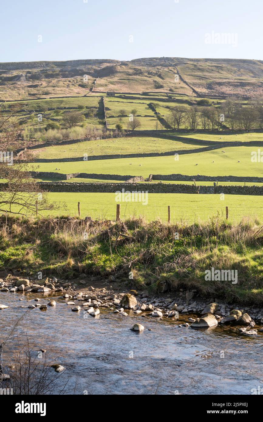 La rivière Arkle Beck traverse Reeth, North Yorkshire, Angleterre, Royaume-Uni Banque D'Images