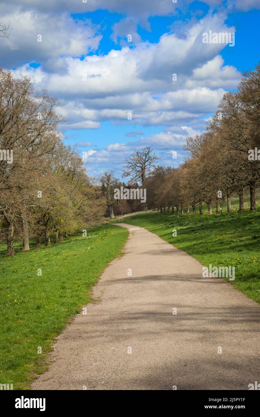 Chemin bordé d'arbres à travers le Lowther Estate Banque D'Images