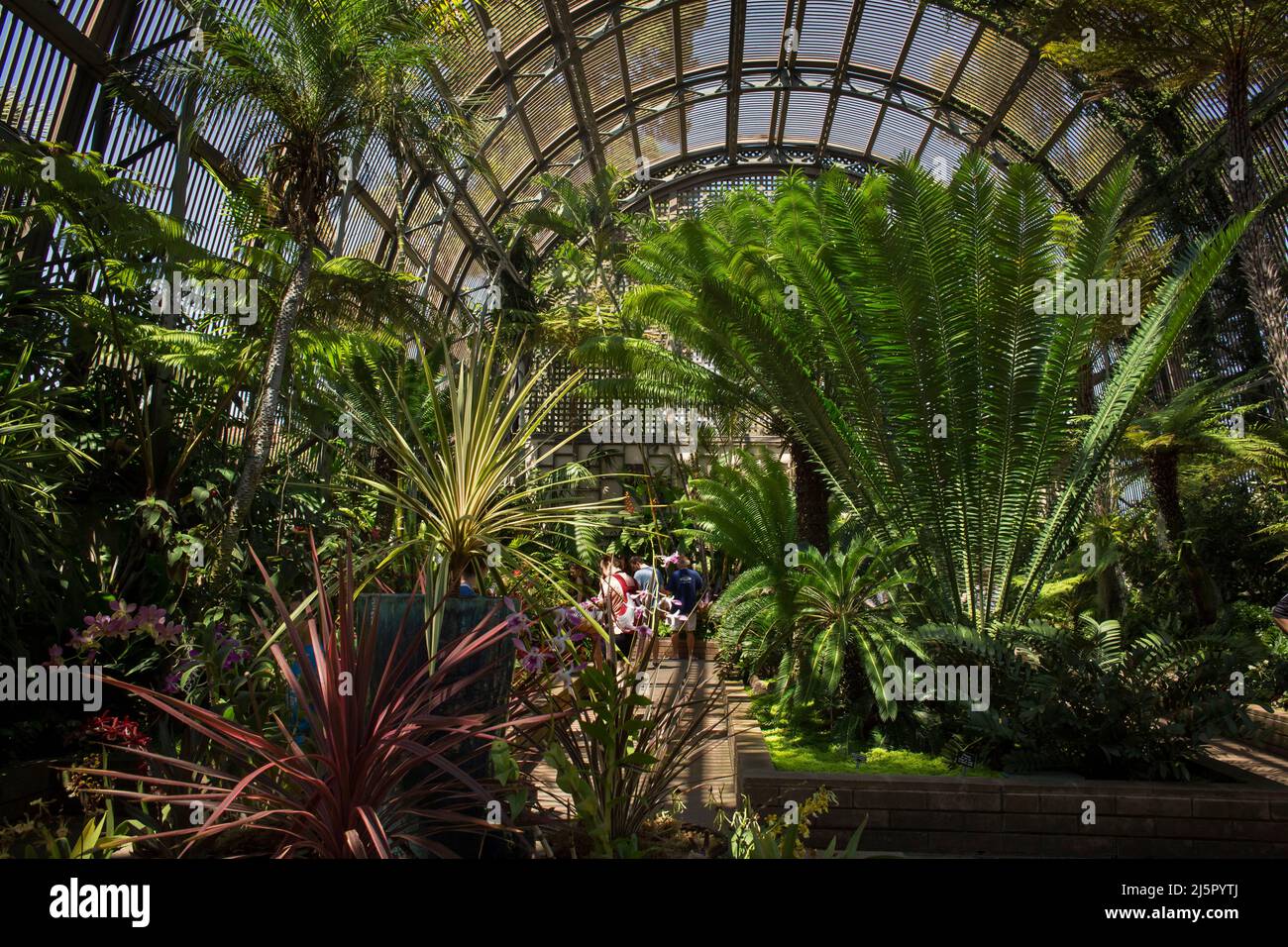 Le Jardin botanique des capacités dans Balboa Park, San Diego Banque D'Images