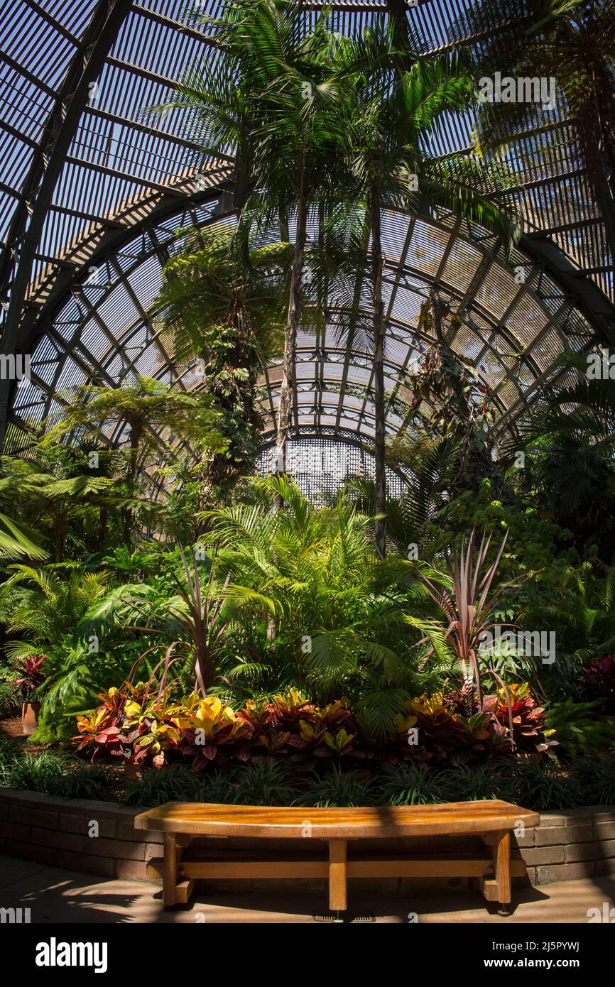 Le Jardin botanique des capacités dans Balboa Park, San Diego Banque D'Images