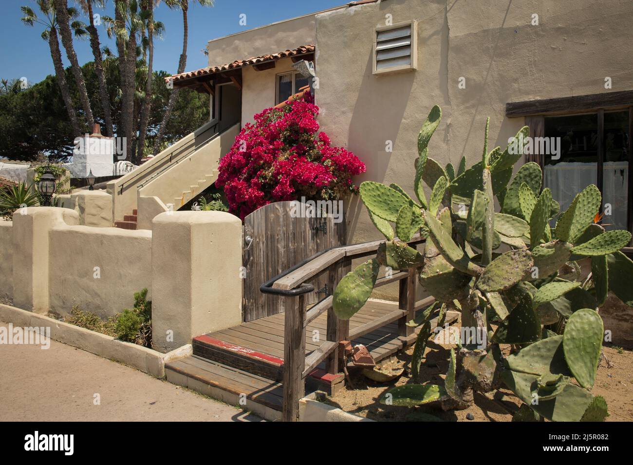 Un cactus à la poire et un bougainvilliers rouge à l'entrée d'une maison en adobe dans le parc national de la vieille ville de San Diego Banque D'Images