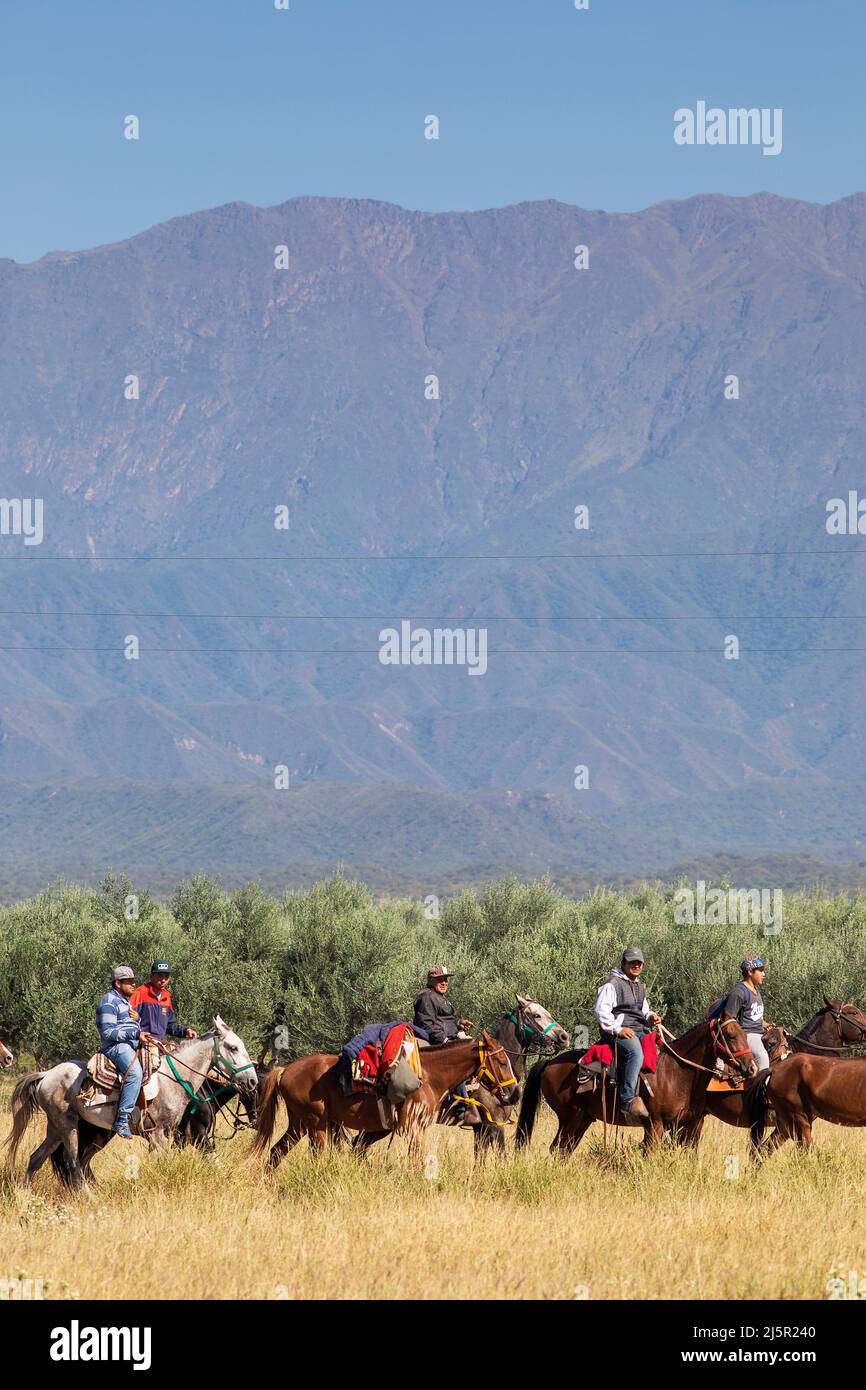 Argentine - des hommes sur des chevaux sur leur chemin à leur travail sur différentes plantations dans la province Argentine de la Rioja avec les Andes derrière le Banque D'Images